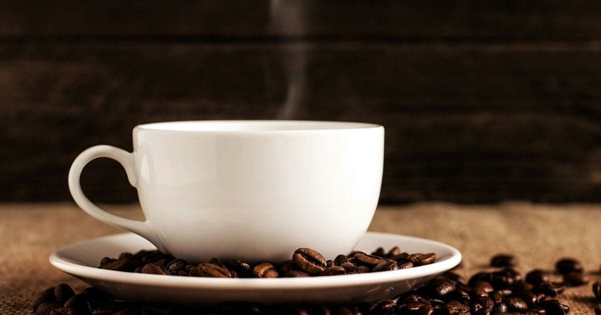 John Cryan, neurobiologiste : "Nous avons des preuves que le café transforme le microbiote et améliore la forme mentale et cognitive"