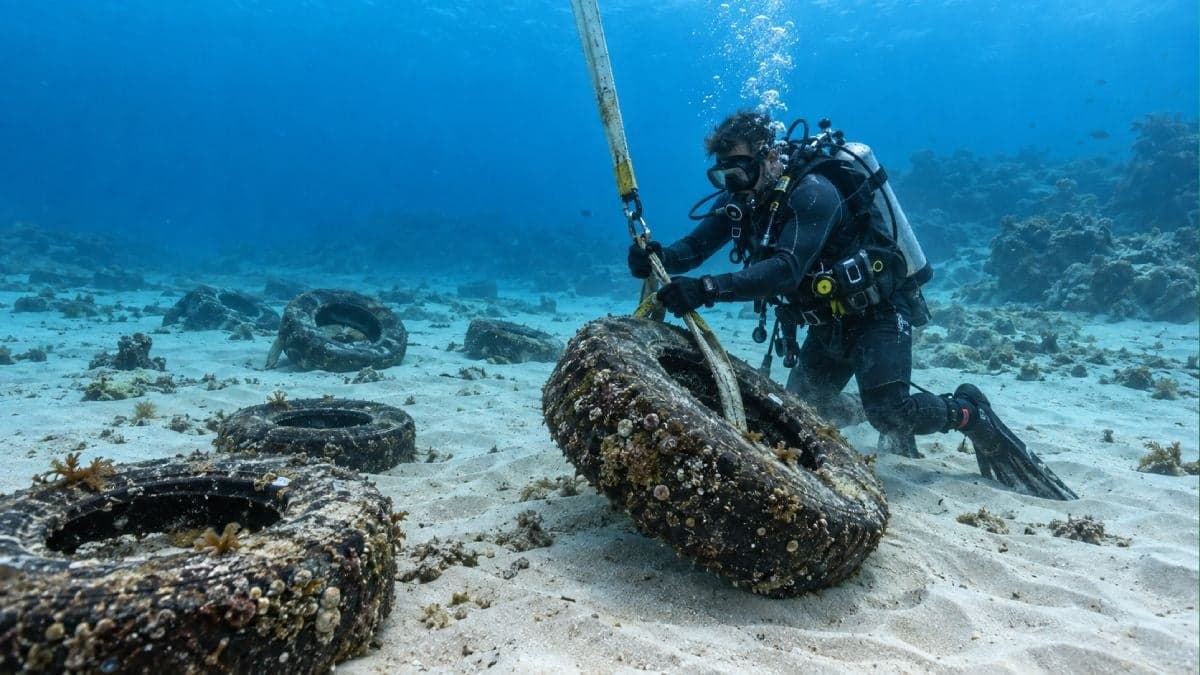 Plus d'un million de pneus sont largués au large de la Floride pour créer un récif : 50 ans plus tard, l'État paie des plongeurs pour les remonter à la main